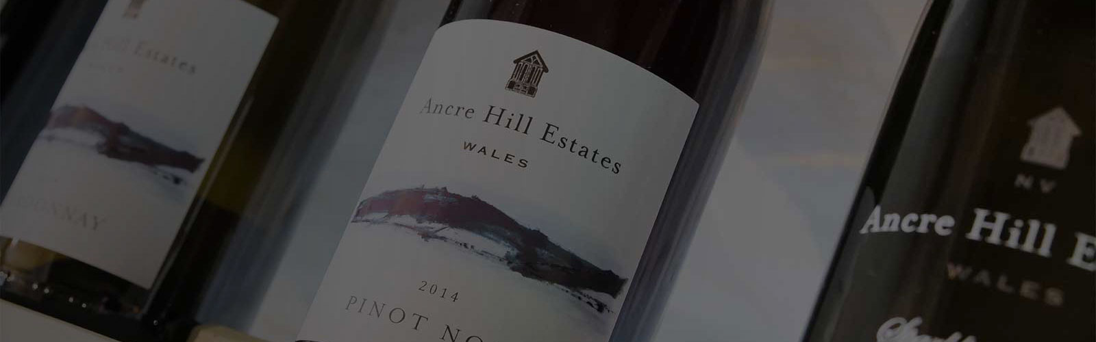Website design for Ancre Hill Vineyard